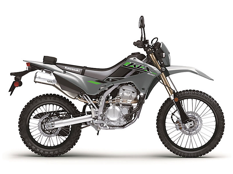 Kawasaki &nbsp; KLX300